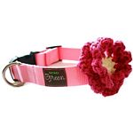 Lollipop and Gum Flower Collars & Leashes